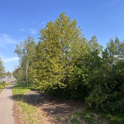 Radweg neben dem Grundstück